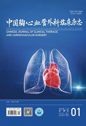 中国手汗症微创治疗临床指南（2021 年版）