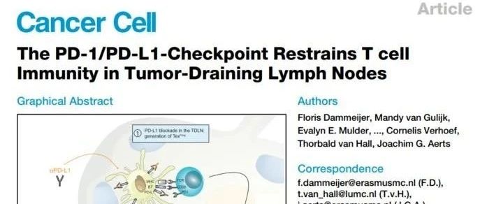 Cancer Cell | PD-1/PD-L1检查点抑制肿瘤引流淋巴结T细胞免疫