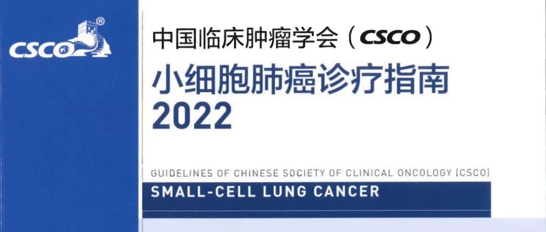 2022 CSCO小细胞肺癌诊疗指南