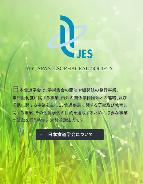 Esophageal cancer practice guidelines 2022 edited by the Japan Esophageal Society: part 2